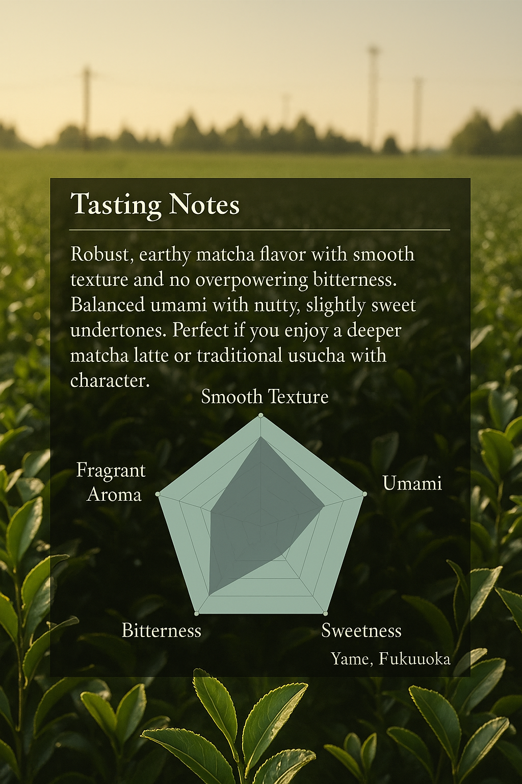 Organic Kyoto Uji Matcha – Ceremonial Japanese Tea Powder 100% Authentic